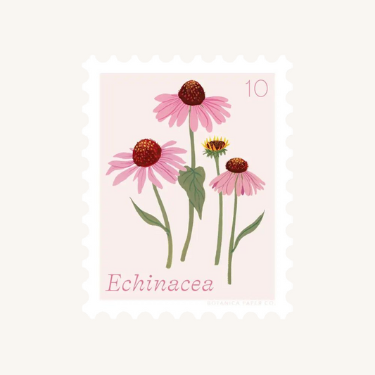 Autocollant en forme de timbre avec une illustration d'échinacées.