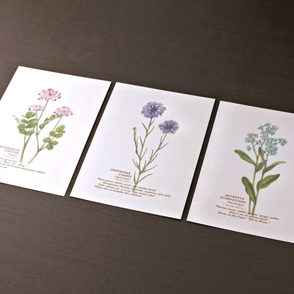 Lot de 3 Cartes Fleurs