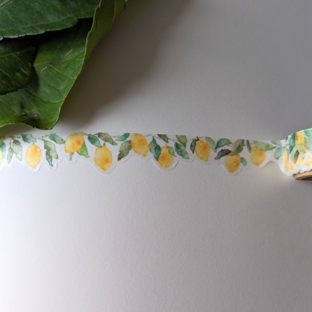 Masking Tape Citrons