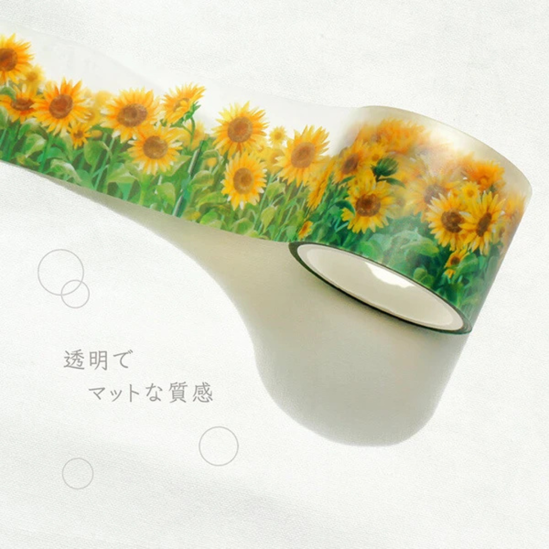 Clear Tape Tournesols Mind Wave