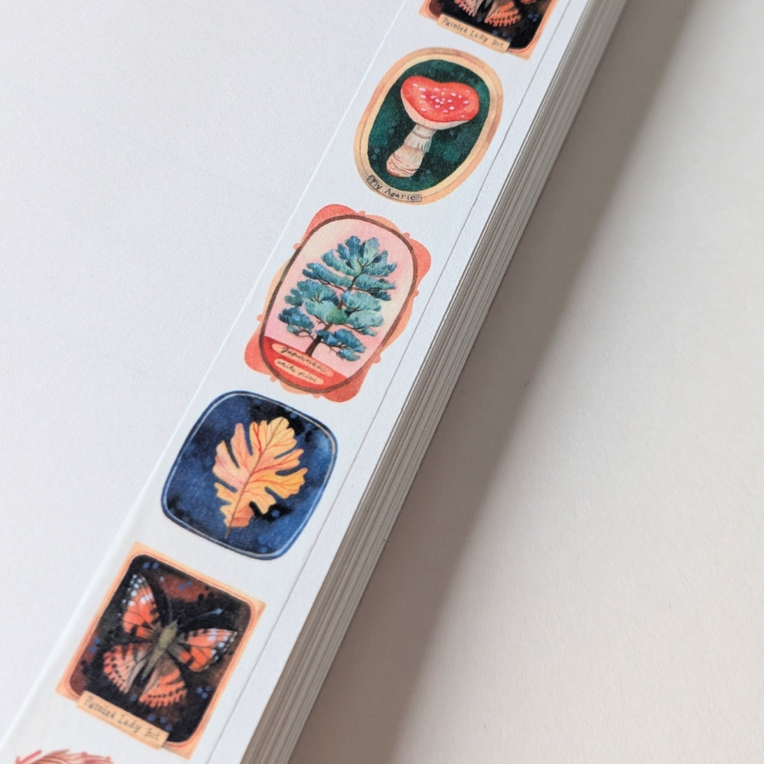 Masking Tape Musée - Wild Pencil