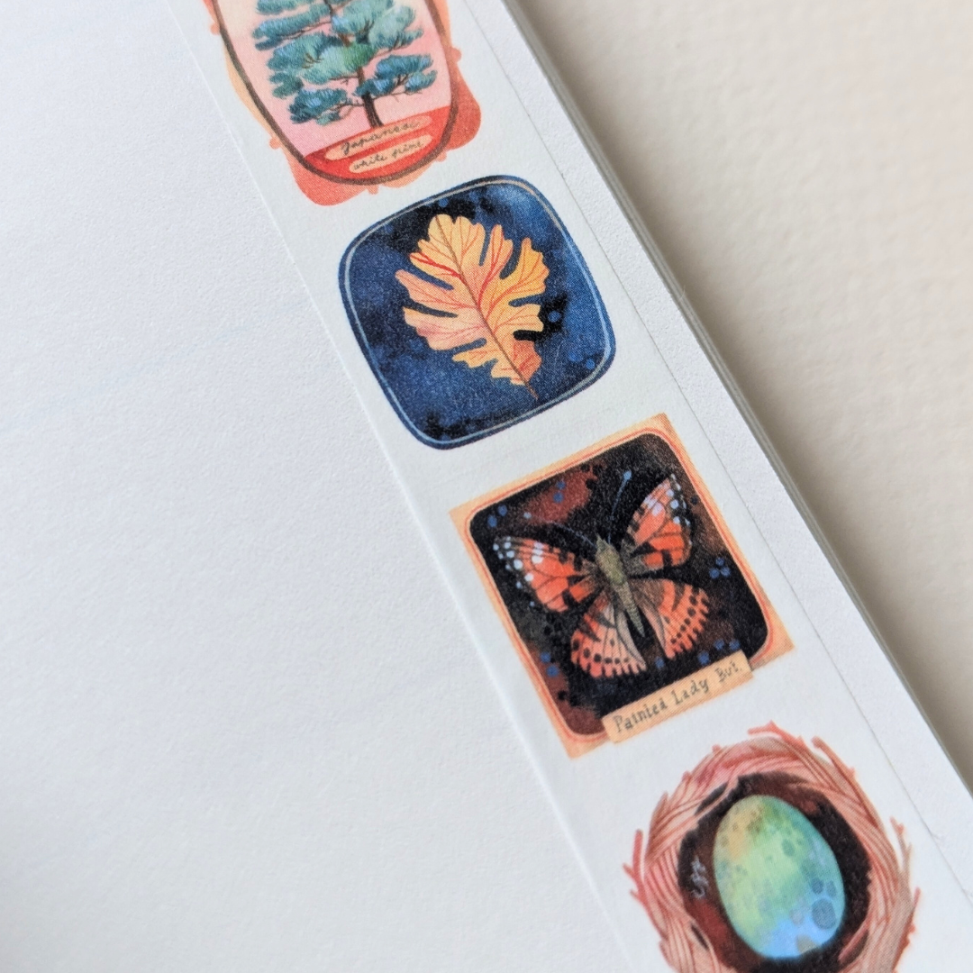 Masking Tape Musée - Wild Pencil