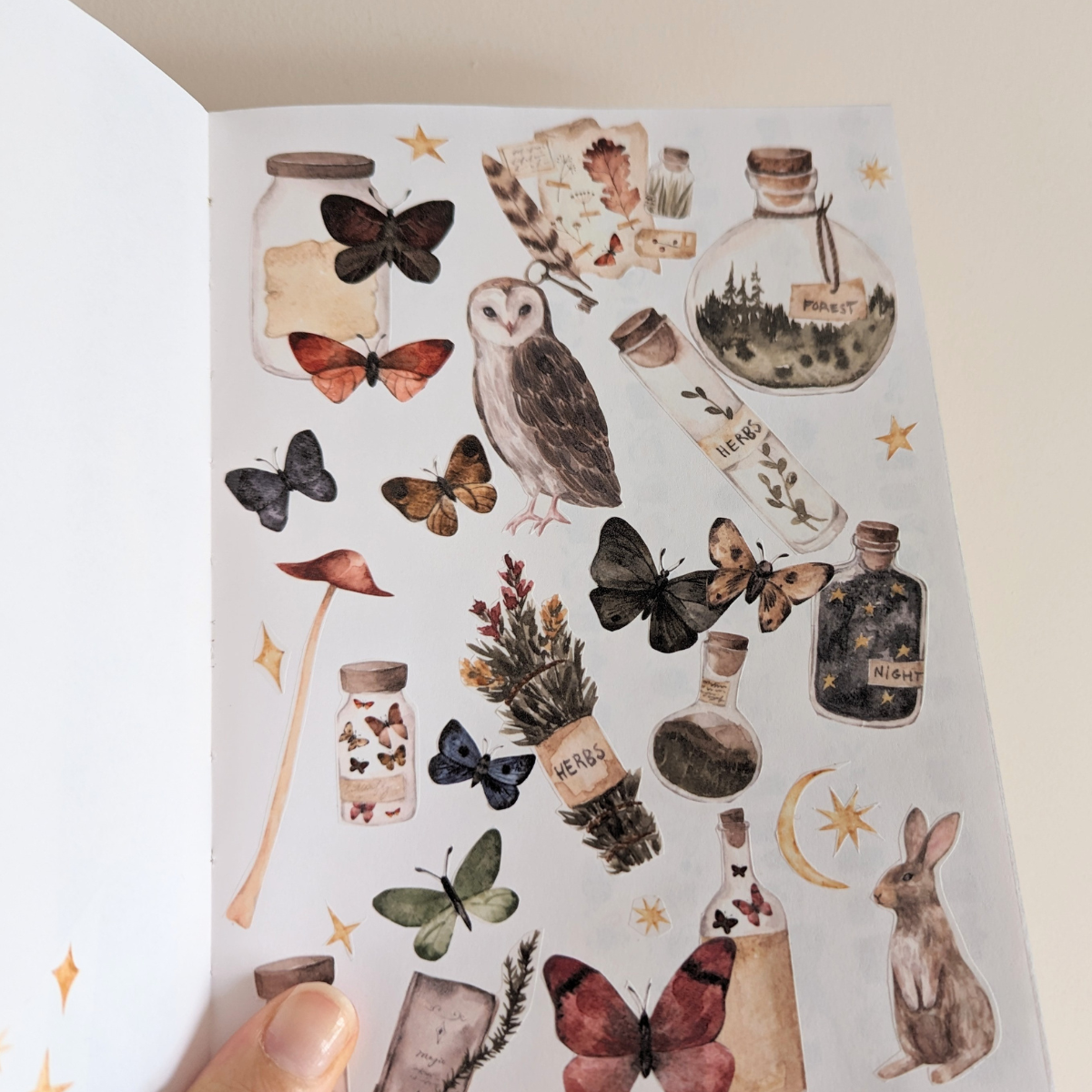 Ce ruban présente de magnifiques illustrations d'une forêt enchantée avec des animaux, des papillons et des bouteilles magiques. Les détails du design sont soulignés par une couche de brillance spéciale. 