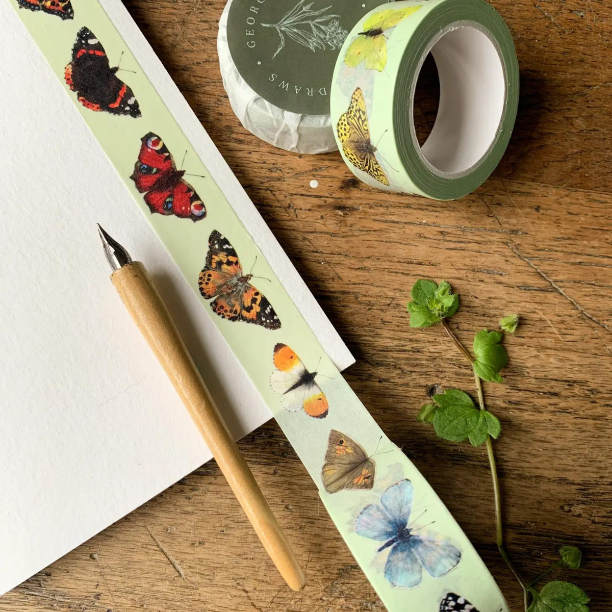 12 papillons différents ornent ce magnifique masking tape ! Peint à l'origine à l'aquarelle par Lauren Georgiou, ce ruban est minutieusement détaillé et convient parfaitement aux amoureux de la nature et de l'entomologie.