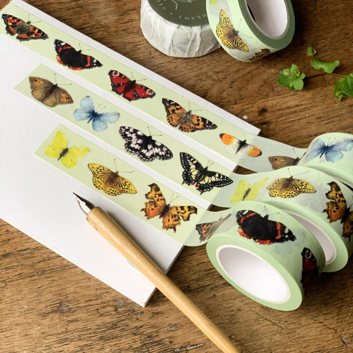 12 papillons différents ornent ce magnifique masking tape ! Peint à l'origine à l'aquarelle par Lauren Georgiou, ce ruban est minutieusement détaillé et convient parfaitement aux amoureux de la nature et de l'entomologie.