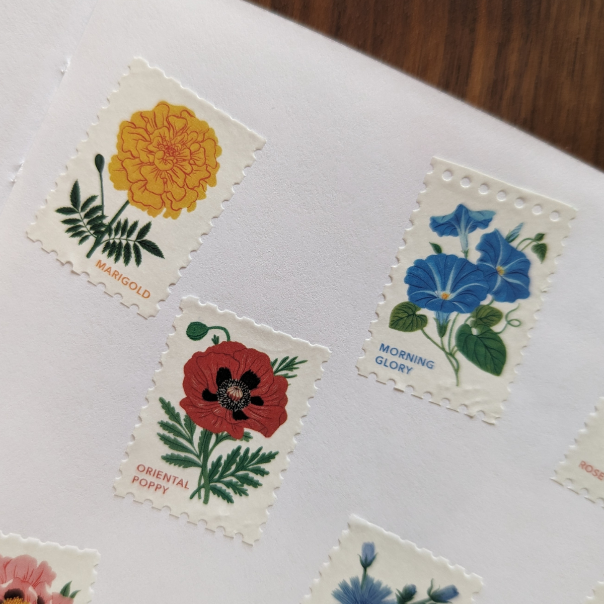 Ce masking tape de timbres prédécoupés de Botanica Paper présente 7 motifs différents de fleurs qui se répètent tout au long de la bobine.