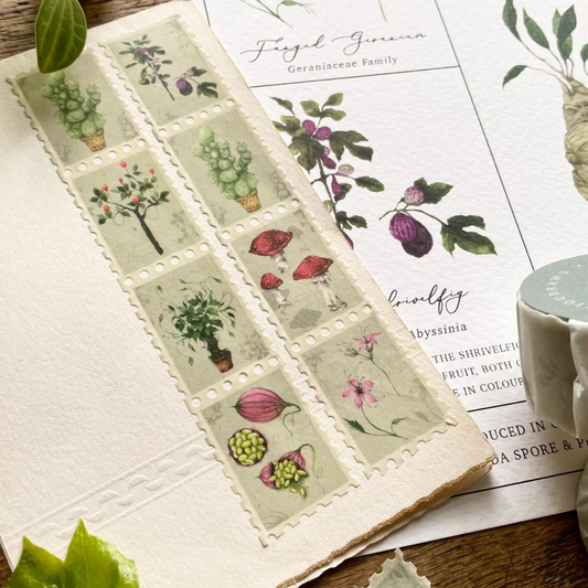 Masking Tape Timbres Herboriste - Georgiou Draws
