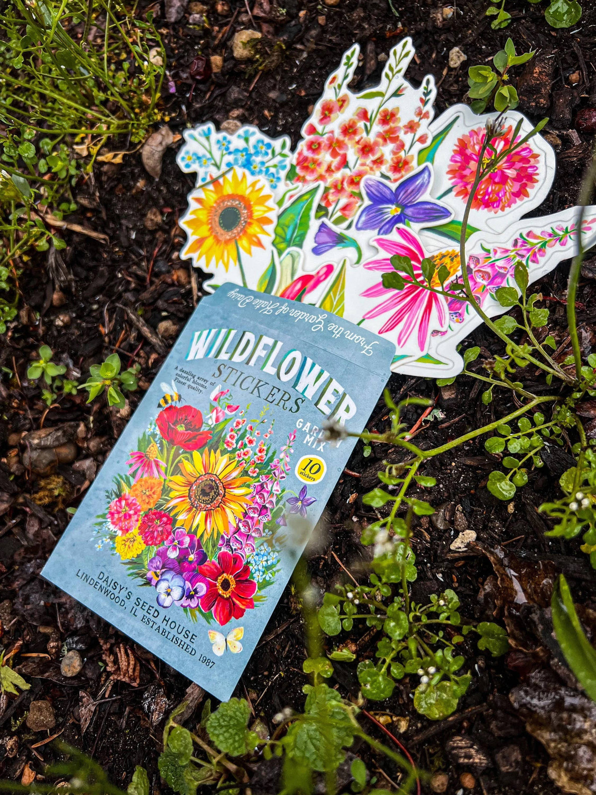 Stickers fleurs du jardin Zinnia et Rose trémière