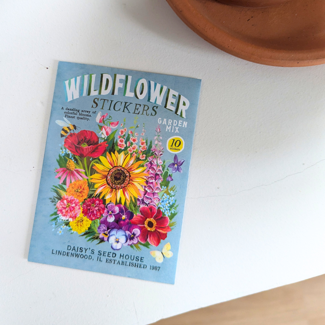 Stickers sachets de graines et fleurs sauvages illustrés par Katie Daisy