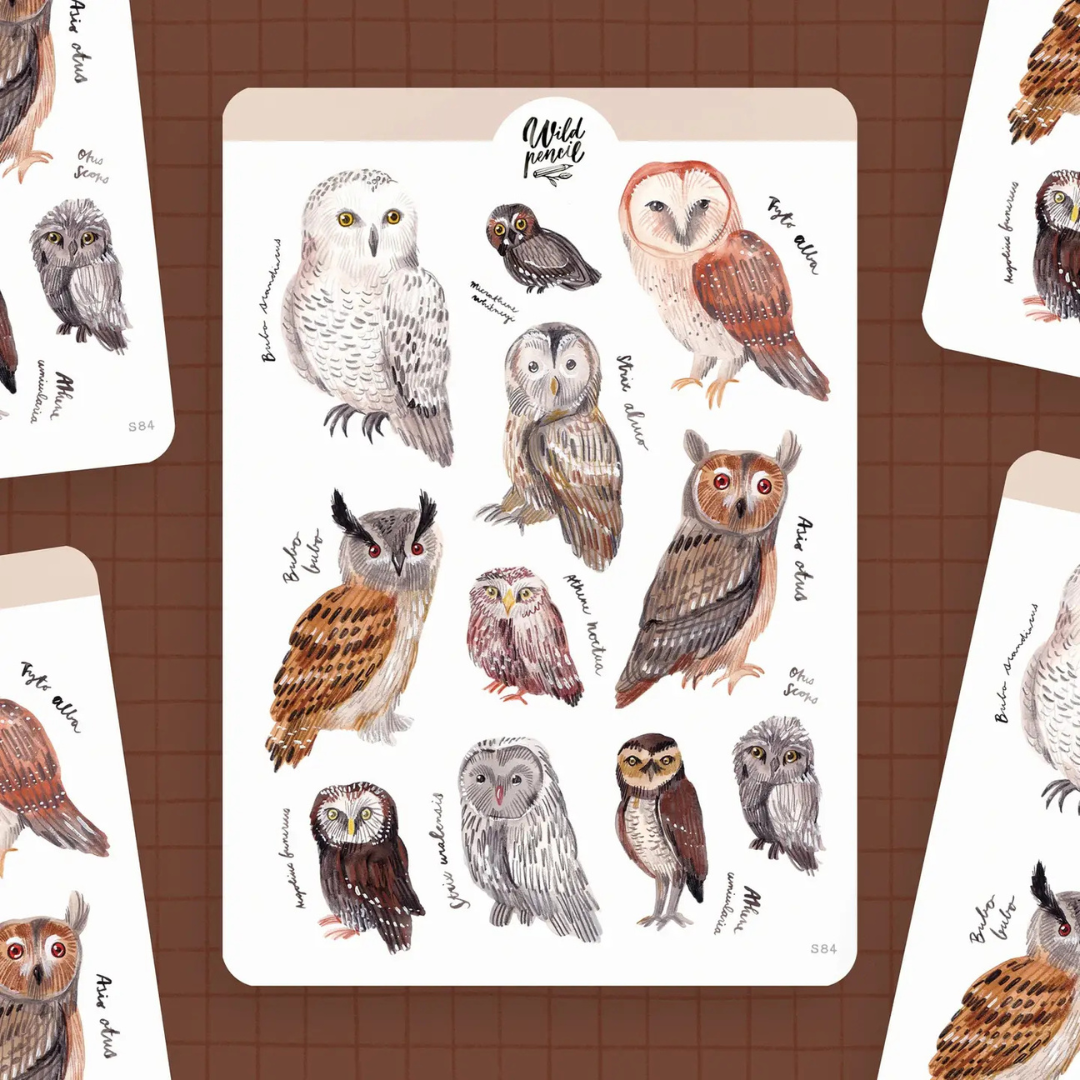 Stickers Chouettes Wild Pencil Studio