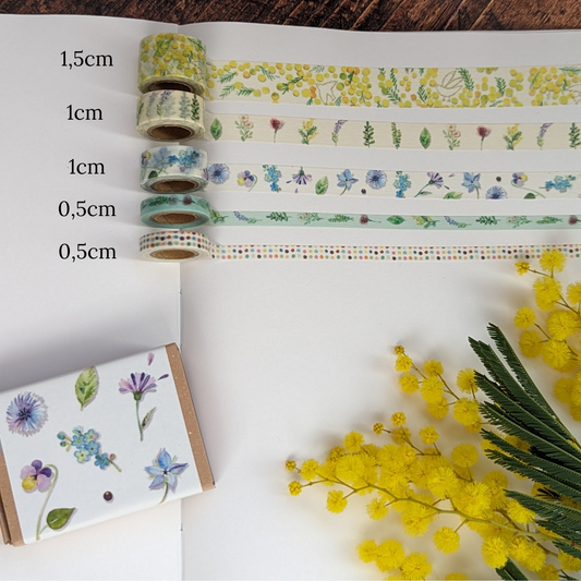 Boîte Shinzi Katoh de 5 Masking Tapes Mimosa