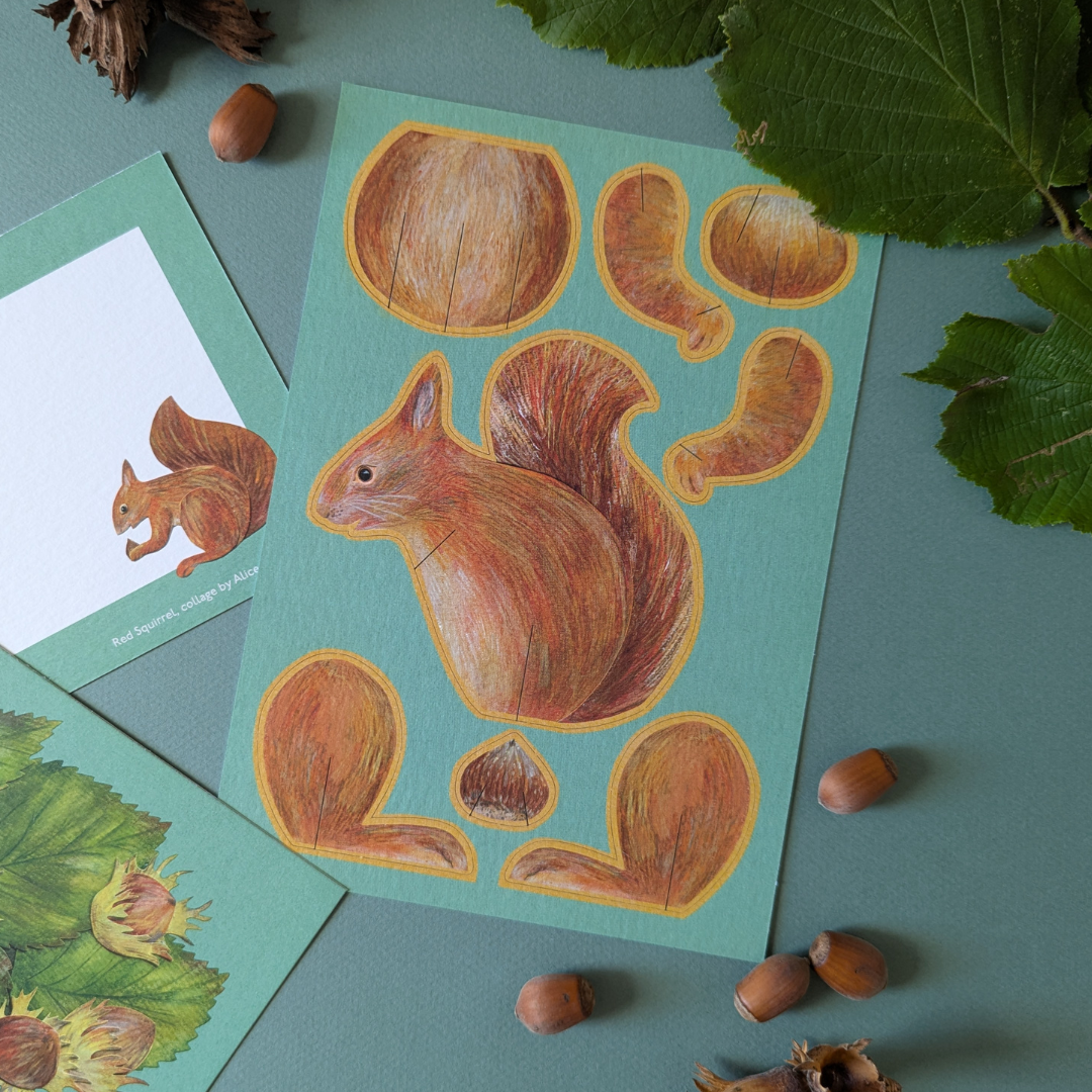Carte en forme d'Écureuil - Alice Melvin